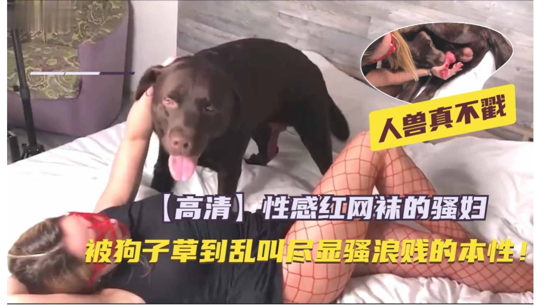 高清两个女人太饥渴抓住马吊一顿舔_少妇富婆按摩偷人a片 91靠逼视频乱伦 尤物久久99国产综合精品 美女视频免费观看网站在线 91污污在线观看 国产精品视频熟女韵味